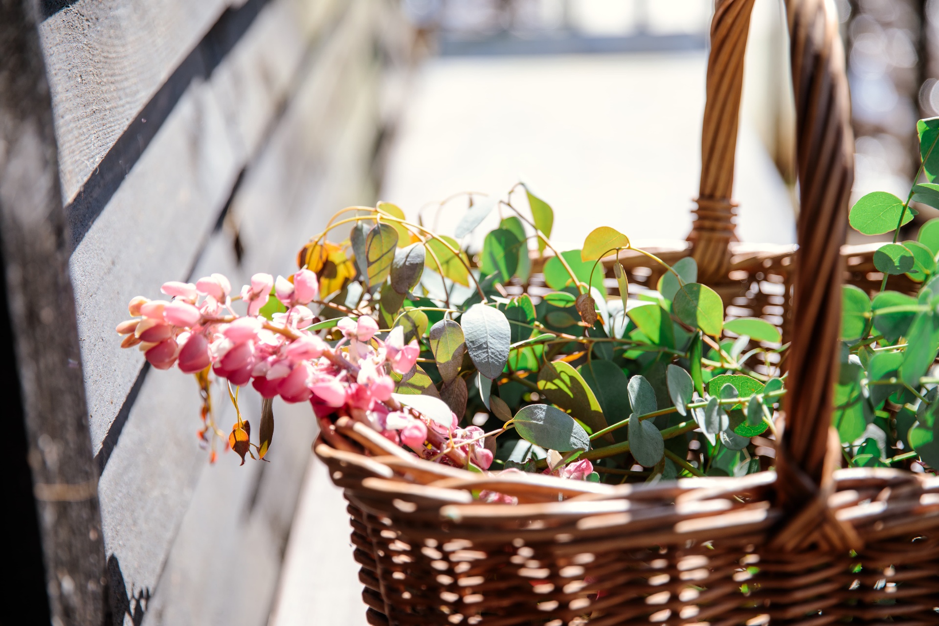 Hands harvesting botanicals